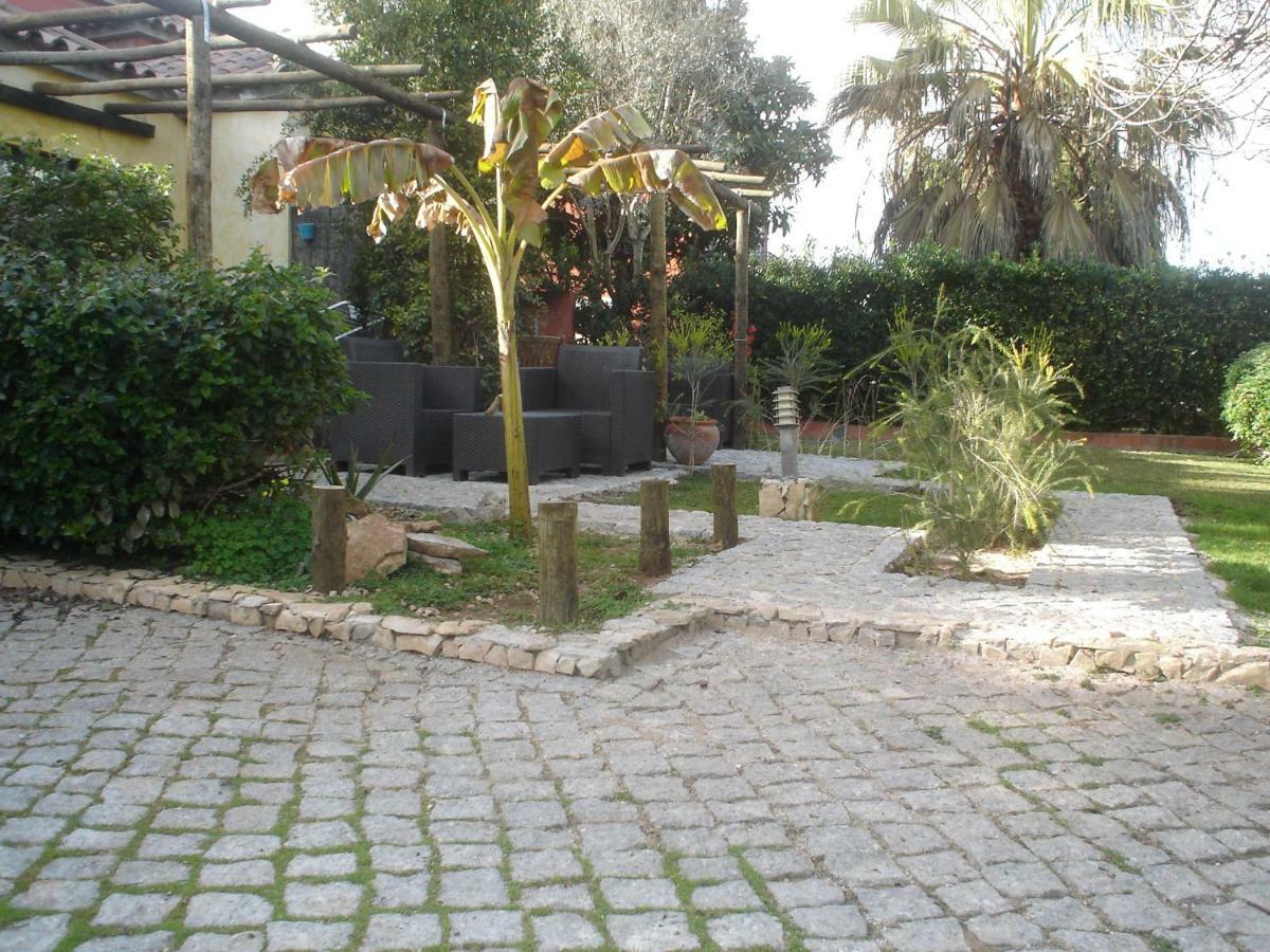 Quinta Da Sao Joao - Villa Oliveira Olhão Eksteriør billede