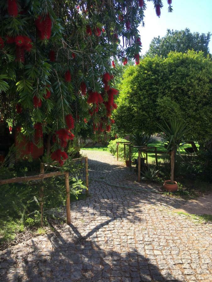 Quinta Da Sao Joao - Villa Oliveira Olhão Eksteriør billede